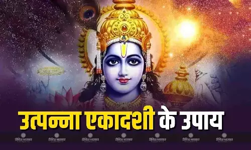 उत्पन्ना एकादशी पर करें ये आसान उपाय