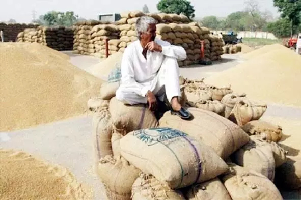 पोर्टल बंद होने से सैकड़ों किसान नहीं करवा पाए धान का पंजीयन पोर्टल बंद होने से सैकड़ों किसान नहीं करवा पाए धान का पंजीयन