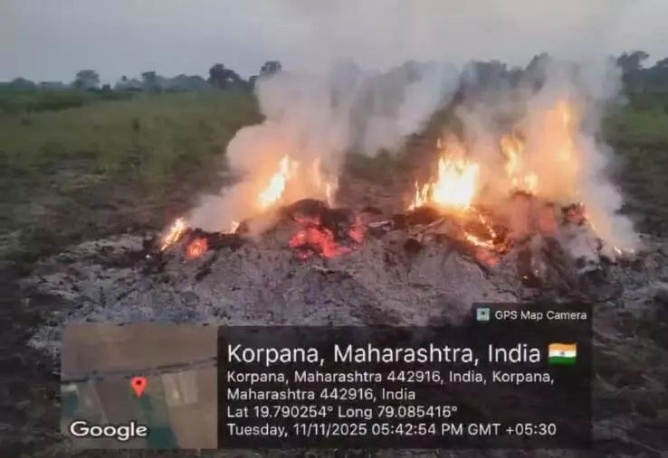 अतिवृष्टि से सड़ गईं फसलें, निराश किसानों ने खेत में ही जला दिया सोयाबीन