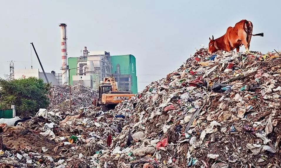 कठौंदा में कचरे का पहाड़, दुर्गंध से पूरा क्षेत्र त्रस्त