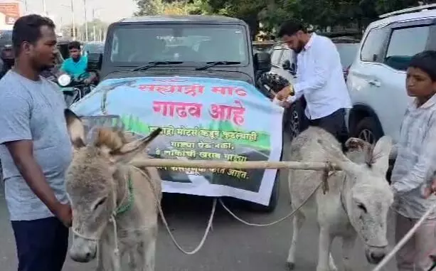 सर्विस से नाराज थार मालिक गधों से खिंचवाकर बाजे-गाजे के साथ जा पहुंचा शोरूम सर्विस से नाराज थार मालिक गधों से खिंचवाकर बाजे-गाजे के साथ जा पहुंचा शोरूम