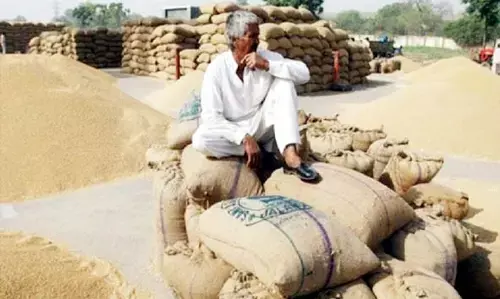 पोर्टल बंद होने से सैकड़ों किसान नहीं करवा पाए धान का पंजीयन पोर्टल बंद होने से सैकड़ों किसान नहीं करवा पाए धान का पंजीयन