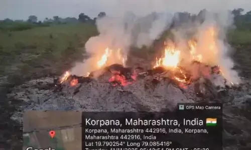 अतिवृष्टि से सड़ गईं फसलें, निराश किसानों ने खेत में ही जला दिया सोयाबीन