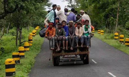 प्रदेश के तीन जिलों को काष्ठ एवं बांस लाभांश हेतु 44 करोड़ रुपये आवंटित प्रदेश के तीन जिलों को काष्ठ एवं बांस लाभांश हेतु 44 करोड़ रुपये आवंटित