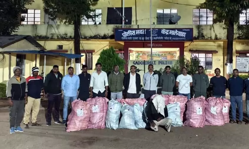 किसान ने घर के आसपास उगाया करोड़ों का गांजा किसान ने घर के आसपास उगाया करोड़ों का गांजा