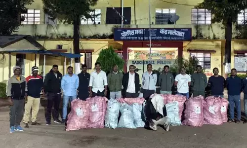 किसान ने घर के आसपास उगाया करोड़ों का गांजा किसान ने घर के आसपास उगाया करोड़ों का गांजा