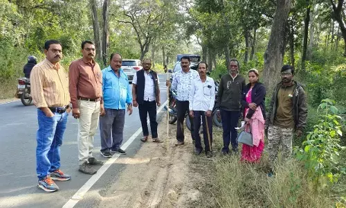 बाघदेव मंदिर परिसर में बाघ दिखाई देने से हाईवे पर यातायात हुआ ठप बाघदेव मंदिर परिसर में बाघ दिखाई देने से हाईवे पर यातायात हुआ ठप