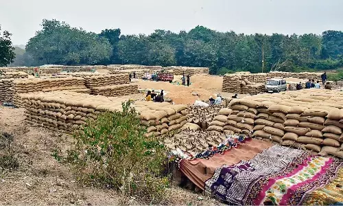 भंडारण में रुचि नहीं दिखा रहे वेयर हाउस संचालक, अब तक बने 27 केंद्र भंडारण में रुचि नहीं दिखा रहे वेयर हाउस संचालक, अब तक बने 27 केंद्र