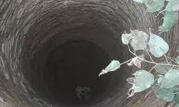 कपास तोड़ने गई युवती की कुएं में गिरकर दर्दनाक मौत, मामले की जांच में जुटी पुलिस कपास तोड़ने गई युवती की कुएं में गिरकर दर्दनाक मौत, मामले की जांच में जुटी पुलिस