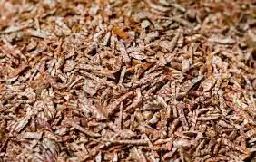 सड़ी सुपारी के काले कारोबार पर नकेल, माफियाओं की सूची तैयार