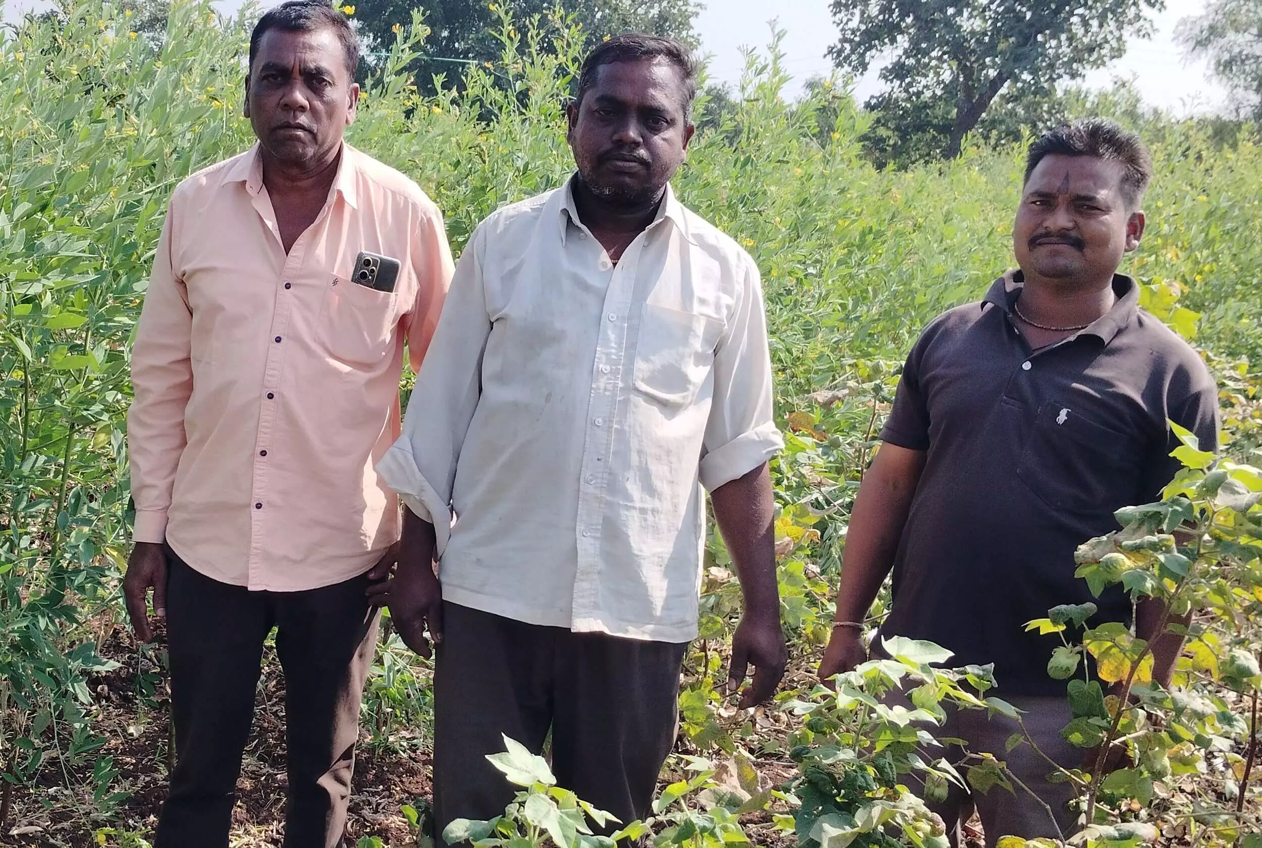 खेत में पानी दे रहे किसान पर घात लगाए बैठे बाघ ने किया हमला