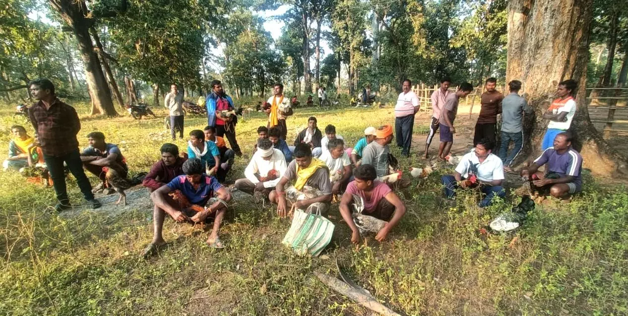 घने जंगल में चल रहा था मुर्गा बाजार, पुलिस ने मारा छापा घने जंगल में चल रहा था मुर्गा बाजार, पुलिस ने मारा छापा