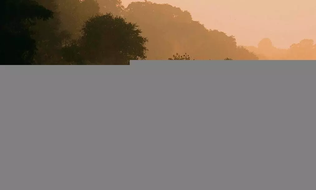 शीत लहर का असर..लगातार 9 दिन से सामान्य से नीचे पारा शीत लहर का असर..लगातार 9 दिन से सामान्य से नीचे पारा