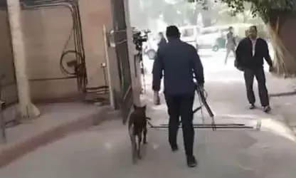 कोर्ट से लेकर स्कूल तक को मिली बम से उडाने की धमकी, जांच जारी कोर्ट से लेकर स्कूल तक को मिली बम से उडाने की धमकी, जांच जारी