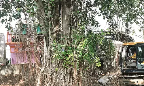 188 वर्ष पुराने विवादित बरगद के पेड़ का प्रत्यारोपण शुरू