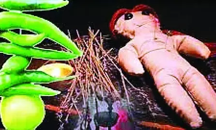 अजित पवार के आवास के बाहर जादू-टोना अजित पवार के आवास के बाहर जादू-टोना