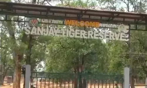 संजय टाइगर रिजर्व में करंट लगाकर बाघ का शिकार करने वाले दो आरोपी गिरफ्तार संजय टाइगर रिजर्व में करंट लगाकर बाघ का शिकार करने वाले दो आरोपी गिरफ्तार