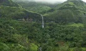 ताम्हिणी घाट में थार 500 फीट गहरी खाई में गिरी, 6 युवकों की मौत; तीन दिन बाद मिली जानकारी ताम्हिणी घाट में थार 500 फीट गहरी खाई में गिरी, 6 युवकों की मौत; तीन दिन बाद मिली जानकारी