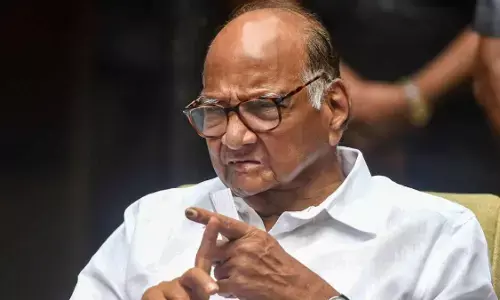 विपक्षी दलों के साथ मिलकर स्थानीय निकाय चुनाव लड़ना चाहता है शरद गुट, तो कोंकण में अब राणे बंधु होंगे आमने-सामने