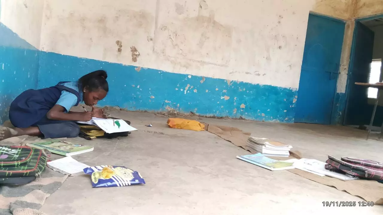 शिक्षा के मंदिर पर मंडराया खतरा, जर्जर स्कूल भवन में पढऩे को मजबूर 37 नौनिहाल