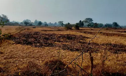 शाहनगर में नहीं थम रही नरवाई की आग, प्रशासन की कार्यवाही केवल नोटिसों तक सीमित