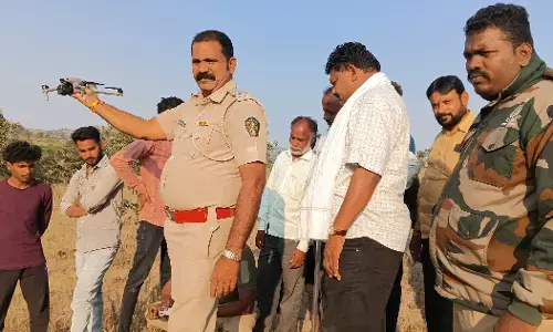 ड्रोन से सर्च करने के बाद भी नहीं मिला बाघ का कोई सुराग