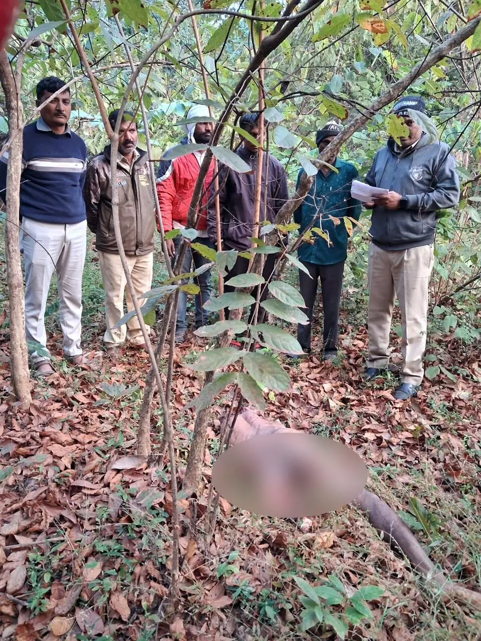 जंगल में चूल्हे के लिए लकड़ियां लाने गया व्यक्ति बना बाघ का निवाला जंगल में चूल्हे के लिए लकड़ियां लाने गया व्यक्ति बना बाघ का निवाला