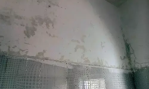 जलापूर्ति मंत्री पाटील के कॉटेज में रिस रहा है पानी