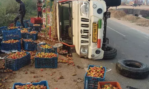 होटल में तेज रफ्तार पिकअप वाहन पलटा, बाल-बाल बचे लोग होटल में तेज रफ्तार पिकअप वाहन पलटा, बाल-बाल बचे लोग