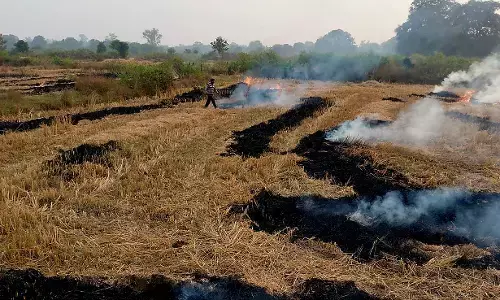 धधकती रही नरवाई की आग, राजस्व अमला पहुंचा मौके पर