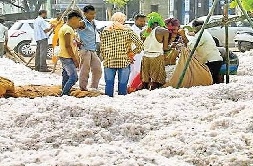 किसानों की कितनी चिंता, दिखाई दे रहा किसानों की कितनी चिंता, दिखाई दे रहा