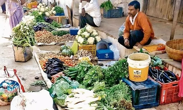 एक दर्जन से ज्यादा क्षेत्रों में बिक रहीं नाले में उपजी सब्जियां