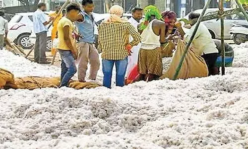 किसानों की कितनी चिंता, दिखाई दे रहा किसानों की कितनी चिंता, दिखाई दे रहा