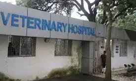जिले में बनेंगे 16 नए पशुचिकित्सा अस्पताल