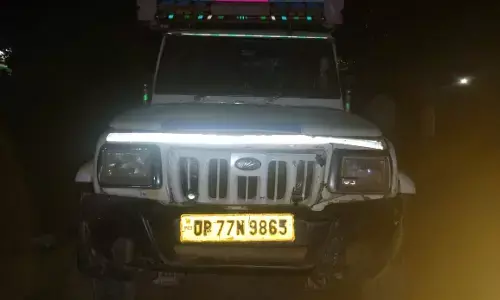 खैर की लकडी का अवैध परिवहन करते हुए पिकअप वाहन को वन विभाग की टीम ने किया जप्त