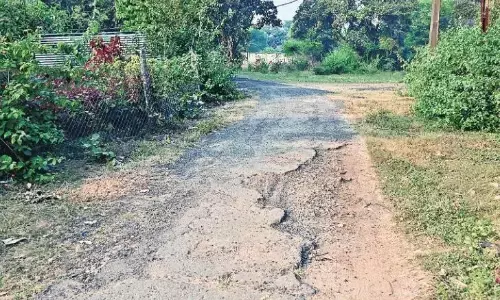 40 साल पहले बनी सड़क, मरम्मत भी नहीं, हर तरफ जंगली झाड़ियां