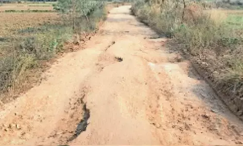 मिट्टी मिश्रित मुरूम से पाट दी डामर सड़क पर फिर से पड़ गए गड्‌ढे