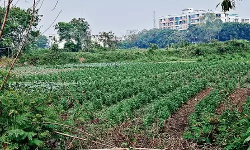 सीधे खेतों में रोड डालकर बनाई जा रहीं काॅलाेनियां, जनता के साथ छल