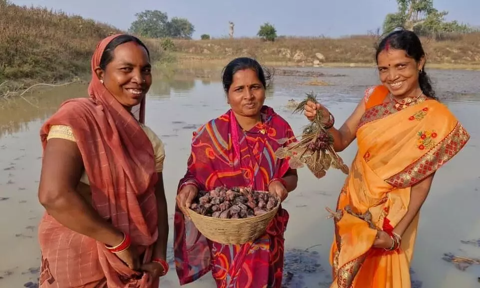 महिला स्व-सहायता समूह की मेहनत रंग लाई, मछली पालन और सिंघाड़ा खेती से बढ़ी आमदनी