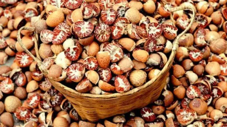 सेंट्रल जीएसटी ने जब्त की कैंसर कारक सुपारी, इंडोनेशिया से लाई जा रही थी खेप - कीमत 300 करोड़ सेंट्रल जीएसटी ने जब्त की कैंसर कारक सुपारी, इंडोनेशिया से लाई जा रही थी खेप - कीमत 300 करोड़