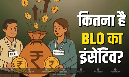 चुनाव आयोग का काम करने के लिए बीएलओ को मिलता है इंसेंटिव, जानें एसआईआर के लिए कितनी मिलती है सैलरी?