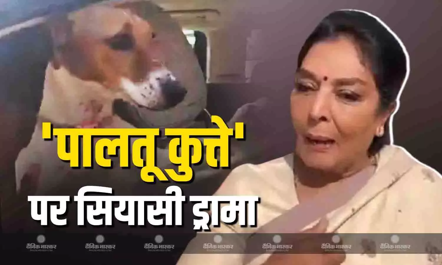 रेणुका चौधरी के पालतू कुत्ता लेकर पहुंचने पर बवाल, बीजेपी के आरोपों से भड़की कांग्रेस सांसद, अब सफाई में दे दिया ये विवादित बयान