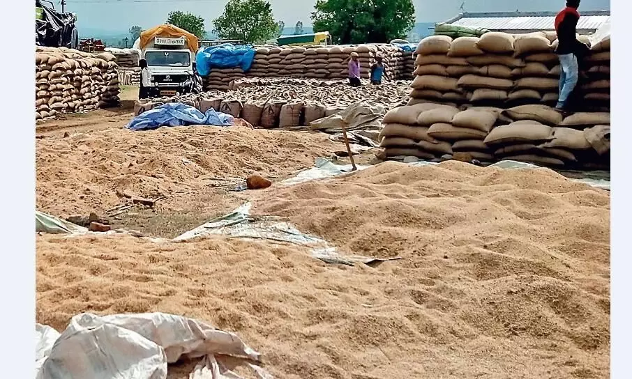 सिकमी, बंटाईदार और वन पट्टाधारी किसानों की भूमि का होगा सत्यापन