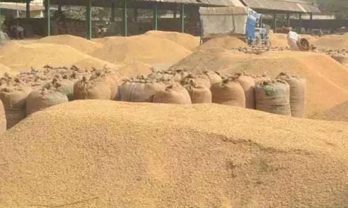 एक दिसंबर से 20 जनवरी तक होगी निर्धारित उपार्जन केंद्रों में धान खरीदी एक दिसंबर से 20 जनवरी तक होगी निर्धारित उपार्जन केंद्रों में धान खरीदी