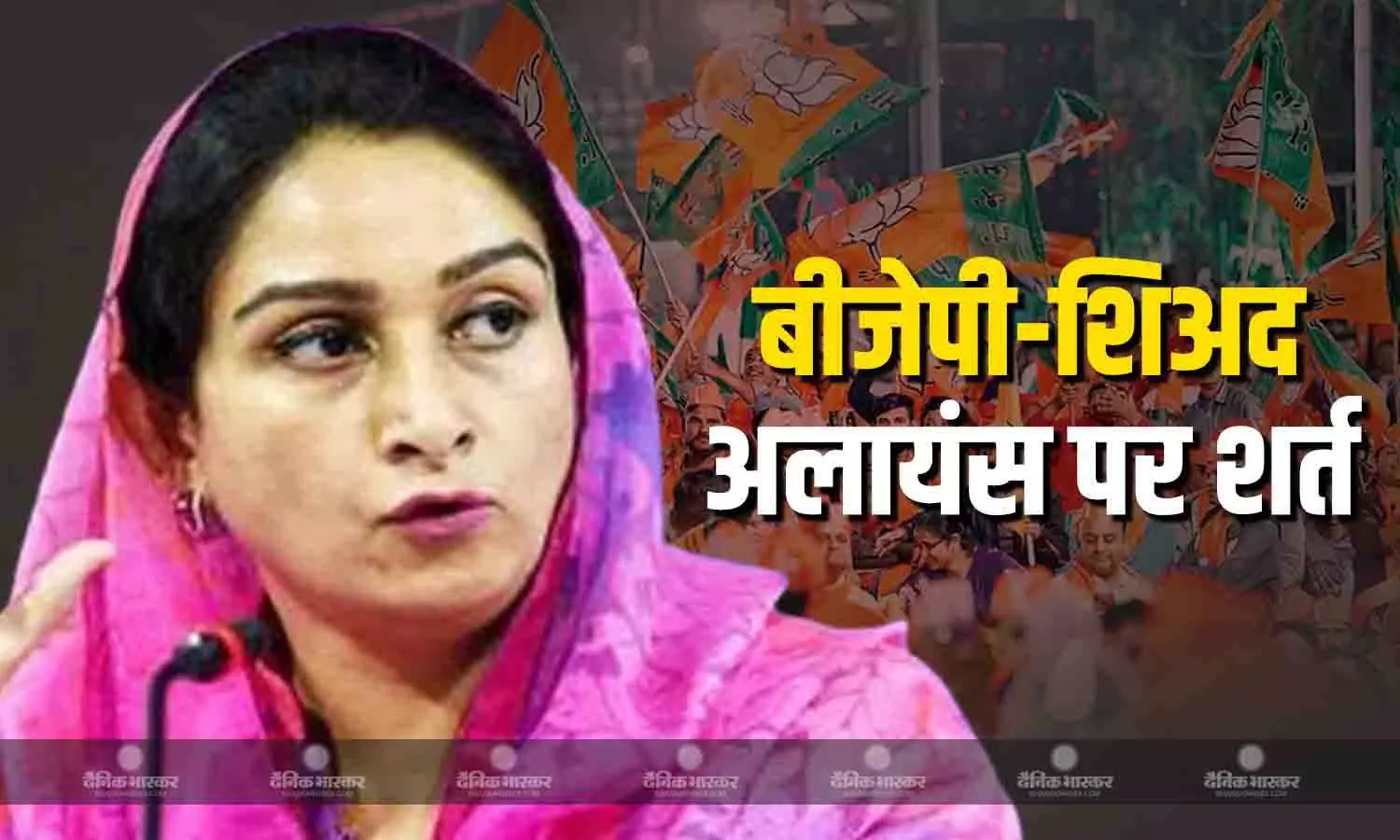 पंजाब में आने वाले चुनावों में बीजेपी-अकाली दल के बीच होगी अलायंस? जानें हरसिमरत कौर ने क्या कहा?