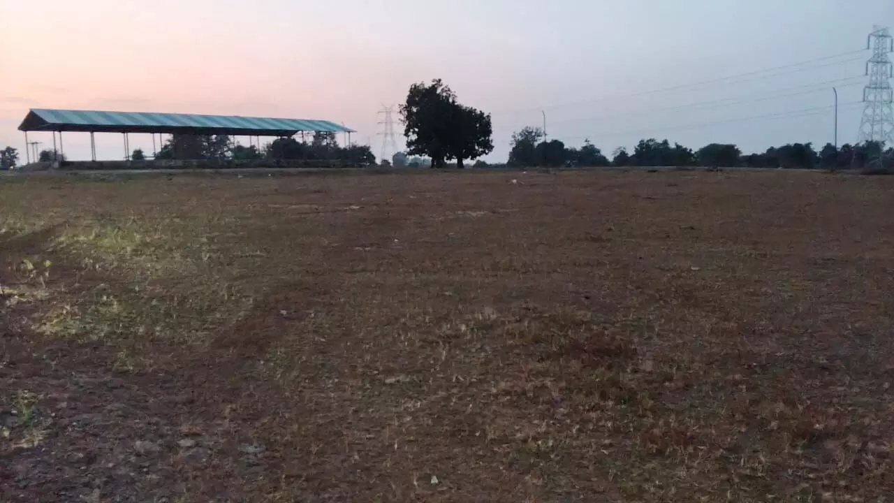 दूसरे दिन प्रारंभ हुई स्लॉट बुकिंग पर नहीं शुरू हो सकी उपज की खरीदी