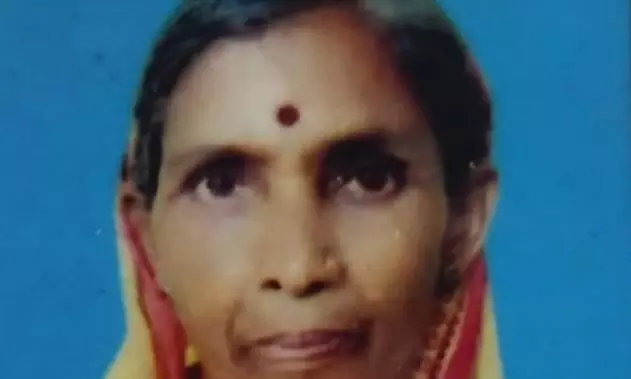 गडचिरोली में बाघ के हमले में वृद्ध महिला की मृत्यु