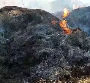 शराब पीने नहीं दिए 100 रुपए तो धान को लगा दी आग