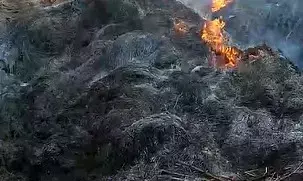 शराब पीने नहीं दिए 100 रुपए तो धान को लगा दी आग