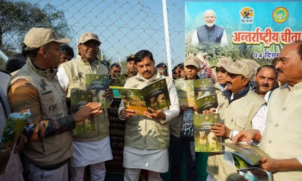 राज्य की समृद्ध वन संपदा में चीता मुकुटमणि और कोहिनूर के समान : मुख्यमंत्री डॉ. यादव